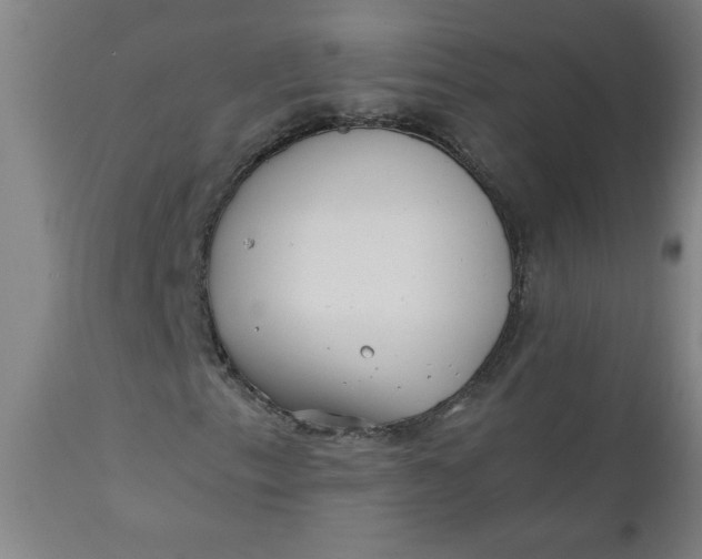 X0000110671153200906261251