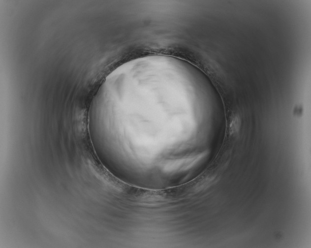 X0000110671156200906261251