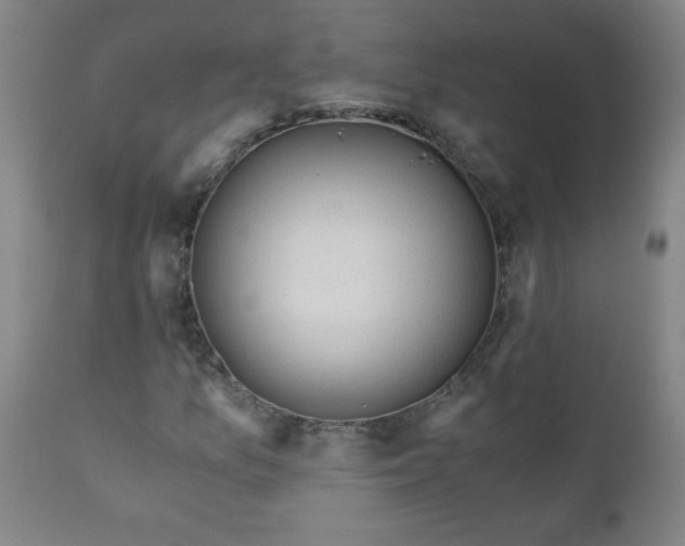 X0000110671157200906261251