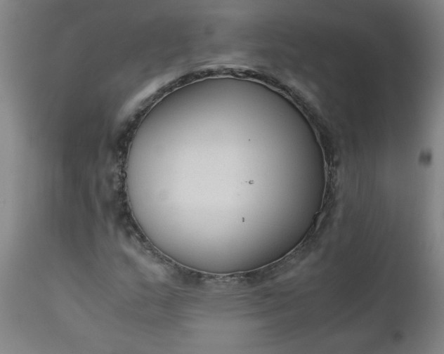 X0000110671159200906261251