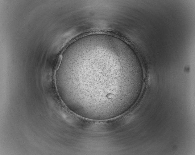 X0000110671161200906261251