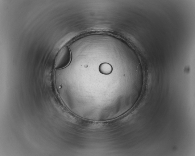 X0000110671162200906261251
