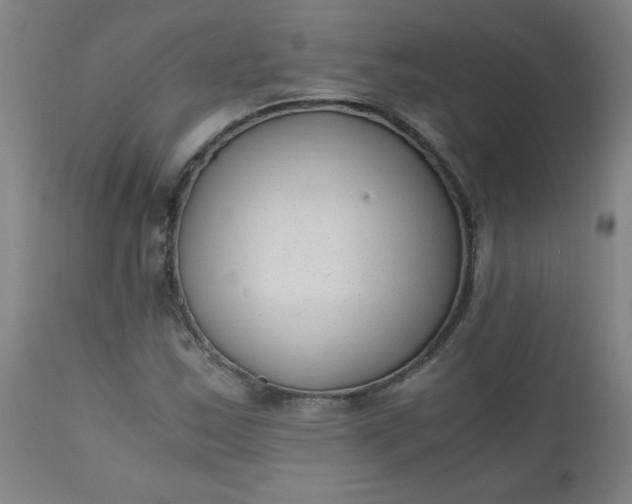 X0000110671163200906261250
