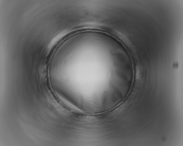 X0000110671164200906261250