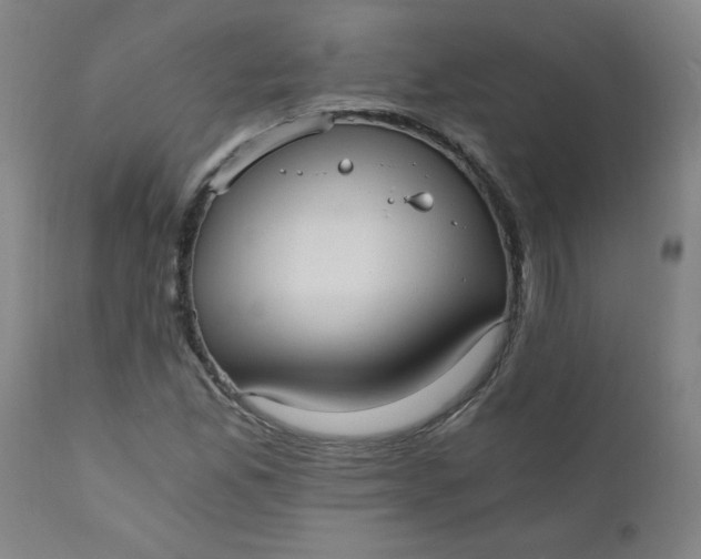 X0000110671165200906261250