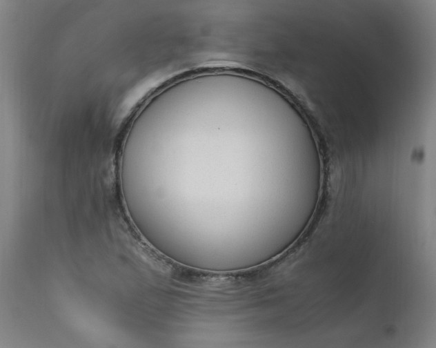 X0000110671167200906261250