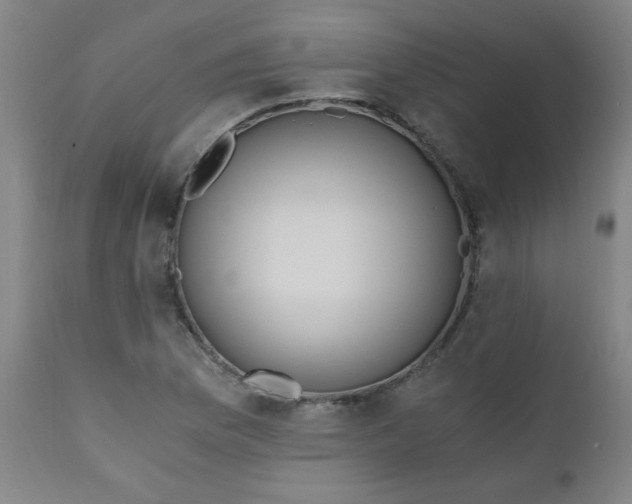 X0000110671169200906261250