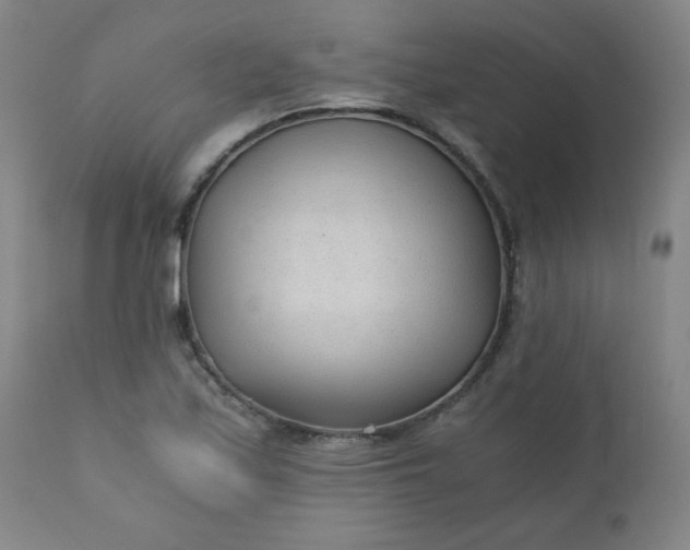 X0000110671171200906261250