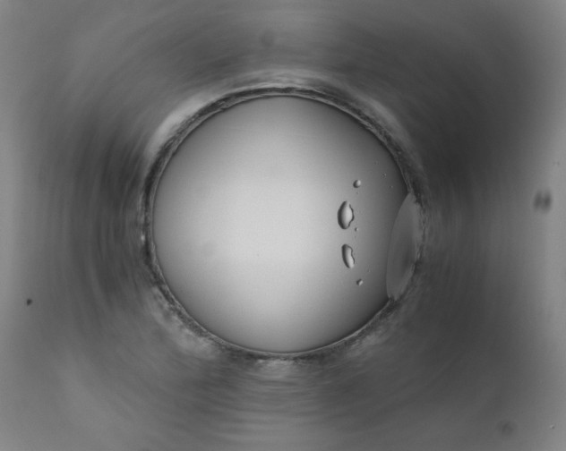 X0000110671172200906261250
