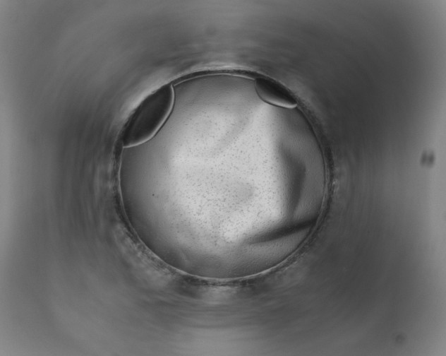 X0000110671173200906261250