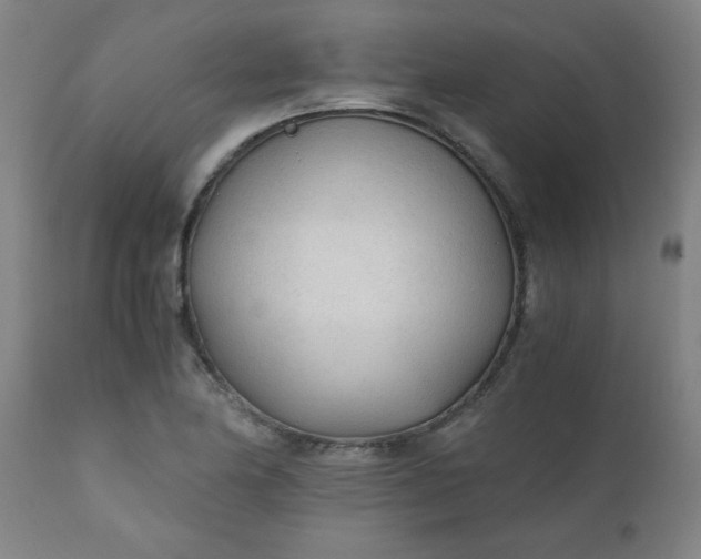 X0000110671174200906261250