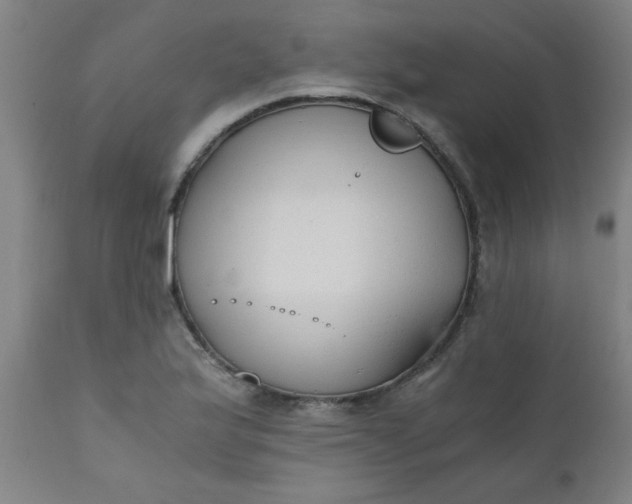 X0000110671175200906261250