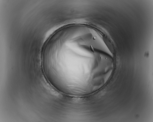 X0000110671176200906261250