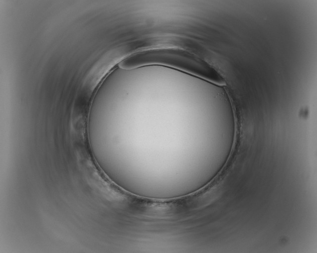 X0000110671177200906261250