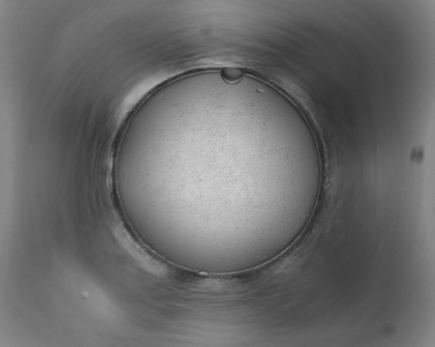 X0000110671179200906261250