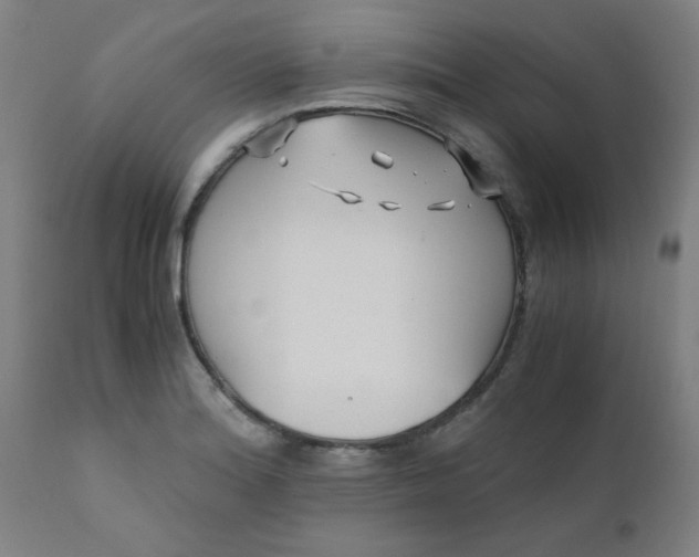 X0000110671180200906261250
