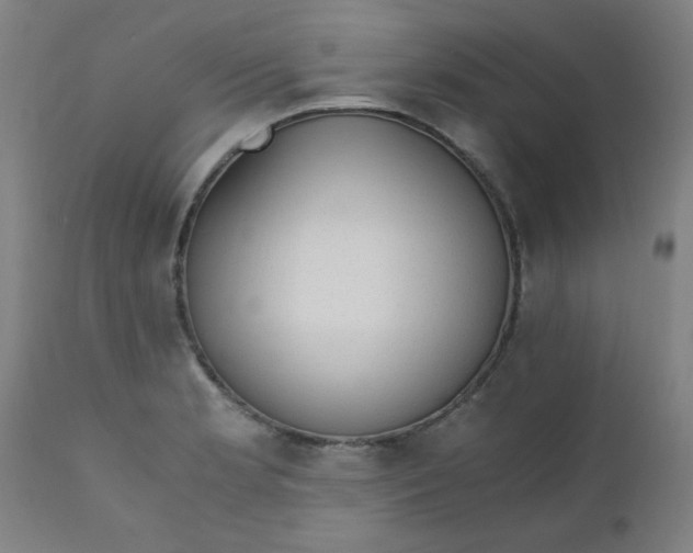 X0000110671181200906261250