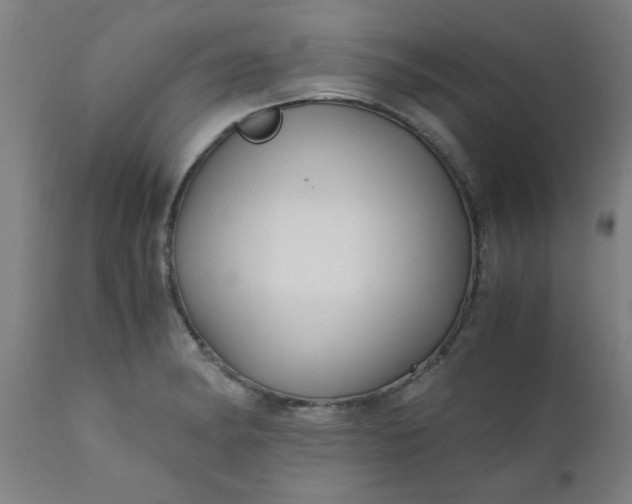 X0000110671182200906261250