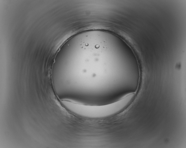 X0000110671185200906261250
