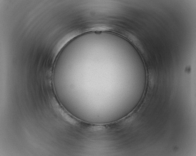 X0000110671186200906261250