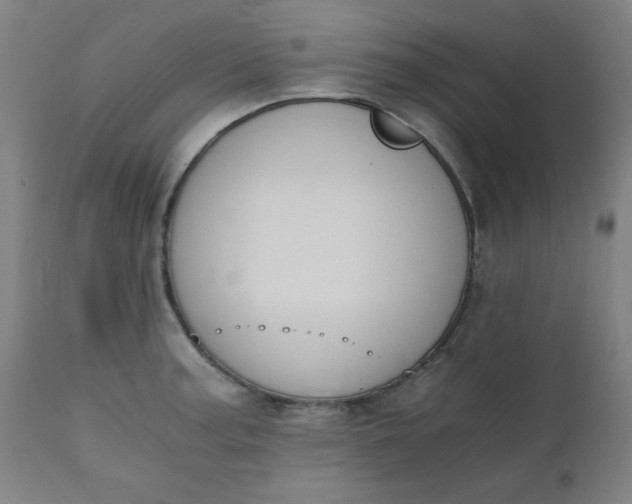 X0000110671187200906261250