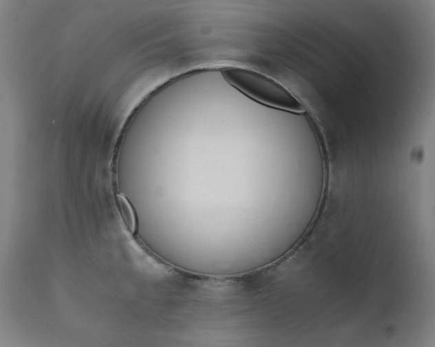 X0000110671189200906261250