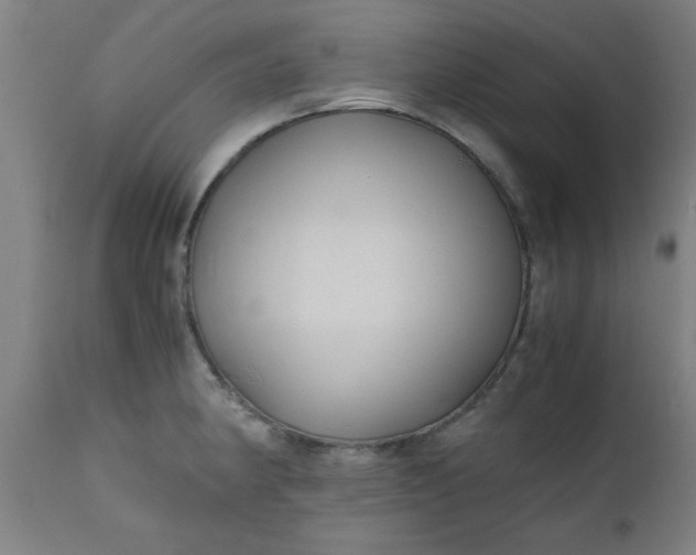 X0000110671190200906261250
