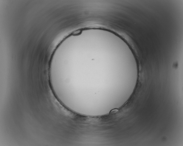X0000110671191200906261250