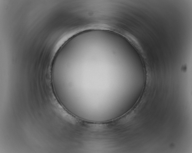 X0000110671192200906261250