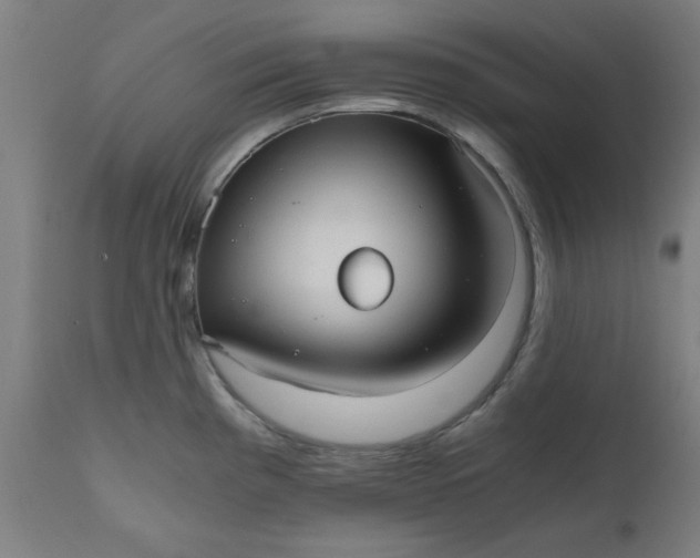 X0000110671193200906261250