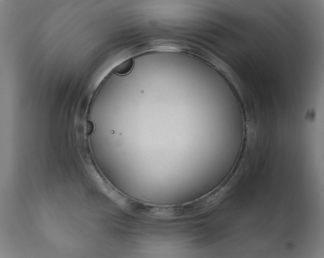 X0000110671194200906261250