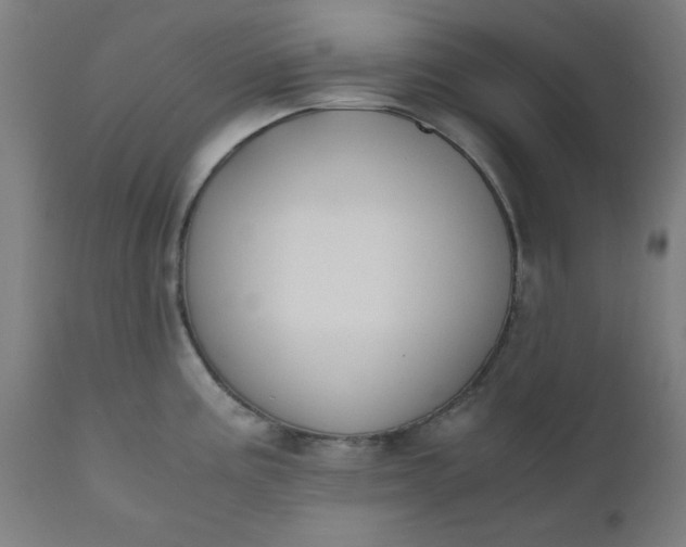 X0000110671195200906261250