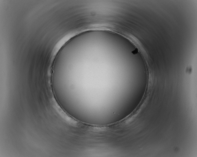 X0000110671196200906261250