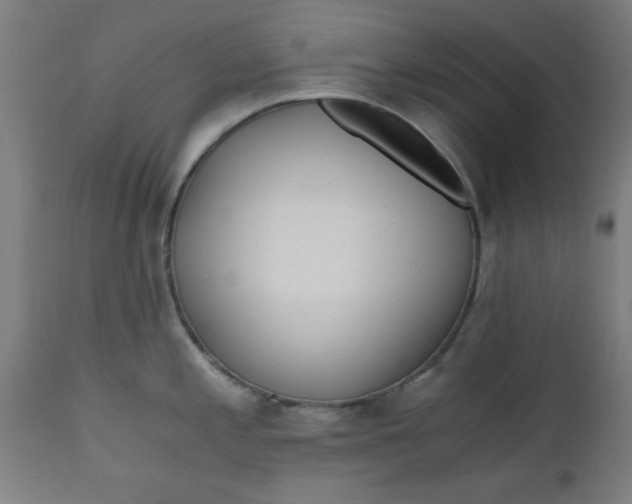 X0000110671197200906261250