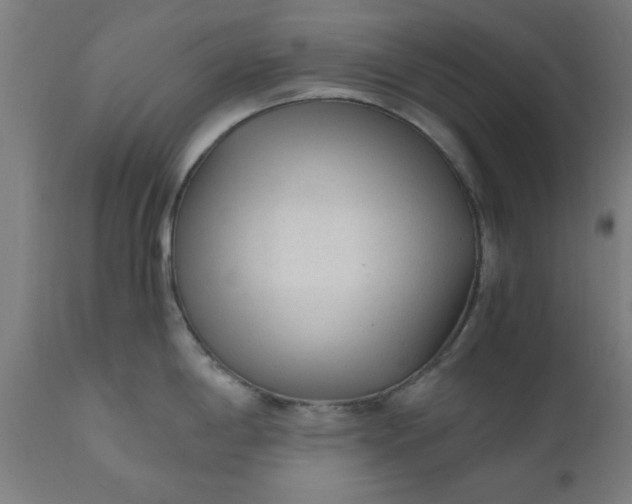 X0000110671198200906261250