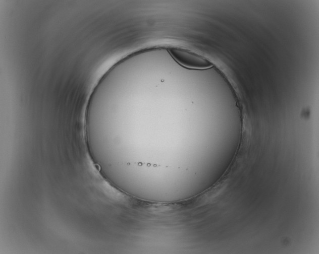 X0000110671199200906261250