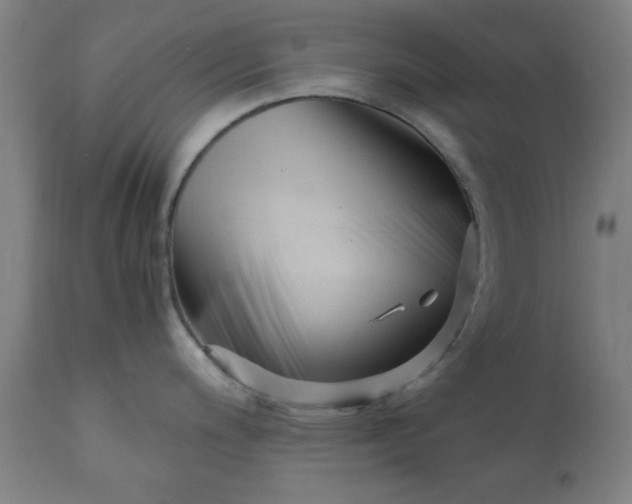 X0000110671200200906261250
