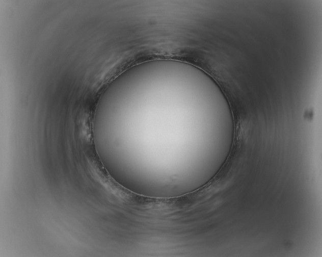 X0000110671202200906261249