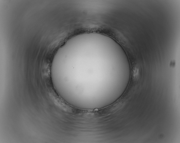 X0000110671204200906261249