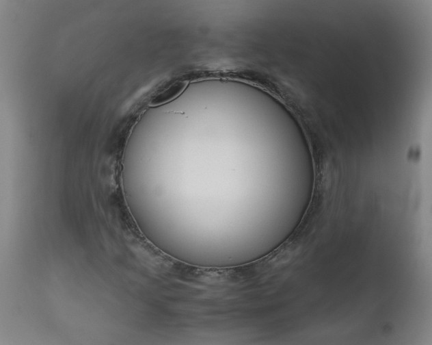 X0000110671205200906261249