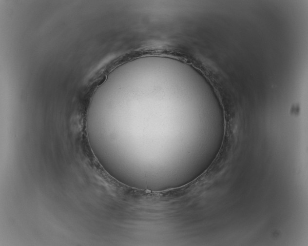 X0000110671206200906261249