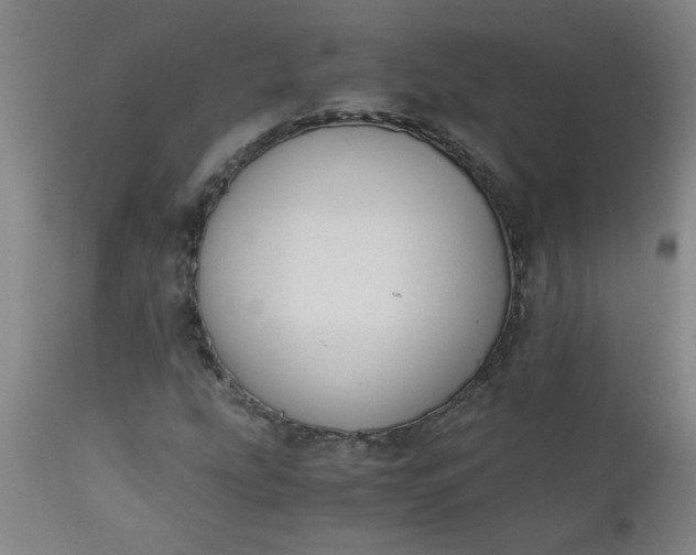 X0000110671207200906261249