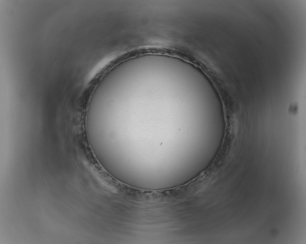 X0000110671208200906261249