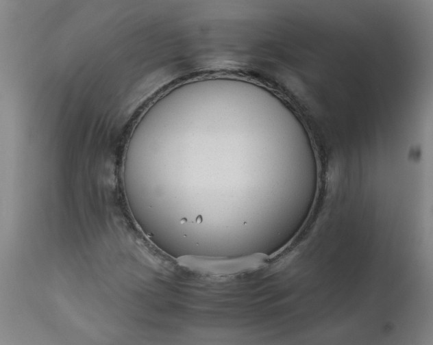 X0000110671209200906261249
