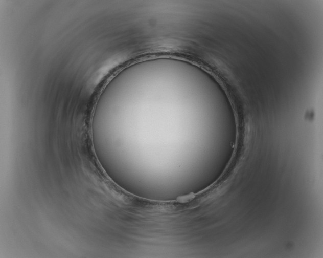 X0000110671210200906261249