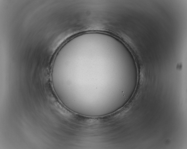 X0000110671212200906261249