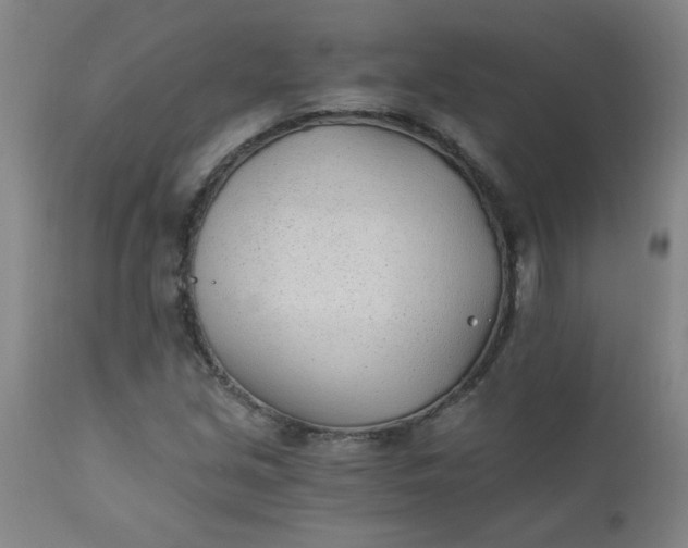 X0000110671213200906261249