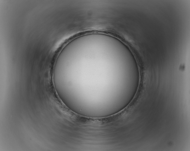 X0000110671214200906261249