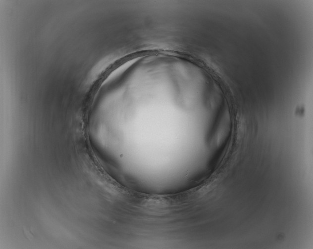 X0000110671215200906261249