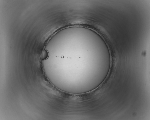 X0000110671217200906261249